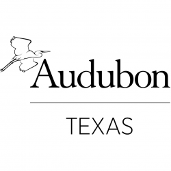  Audubon Texas