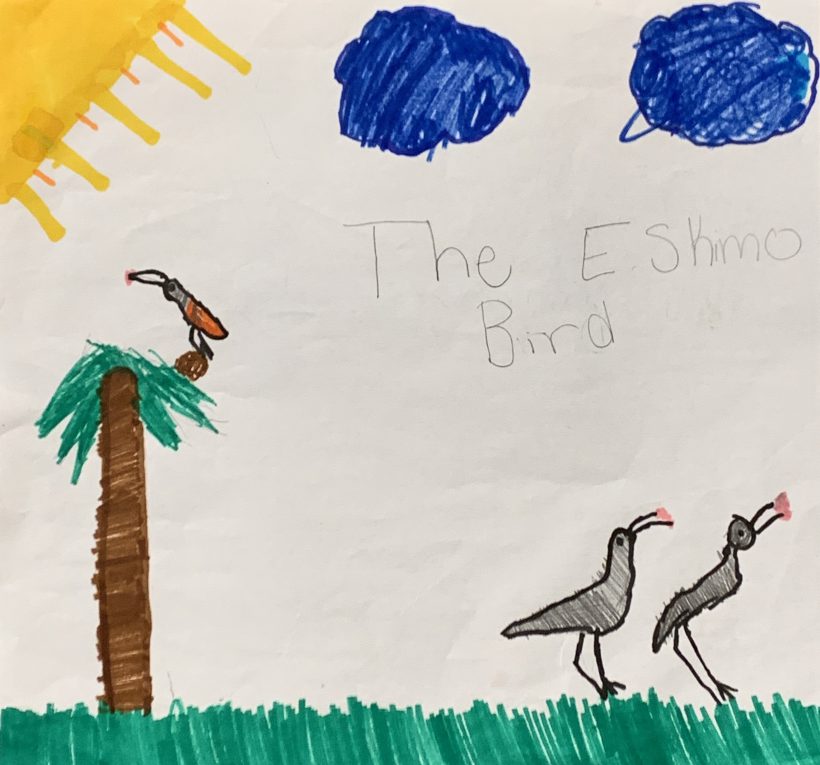 The Eskimo Bird