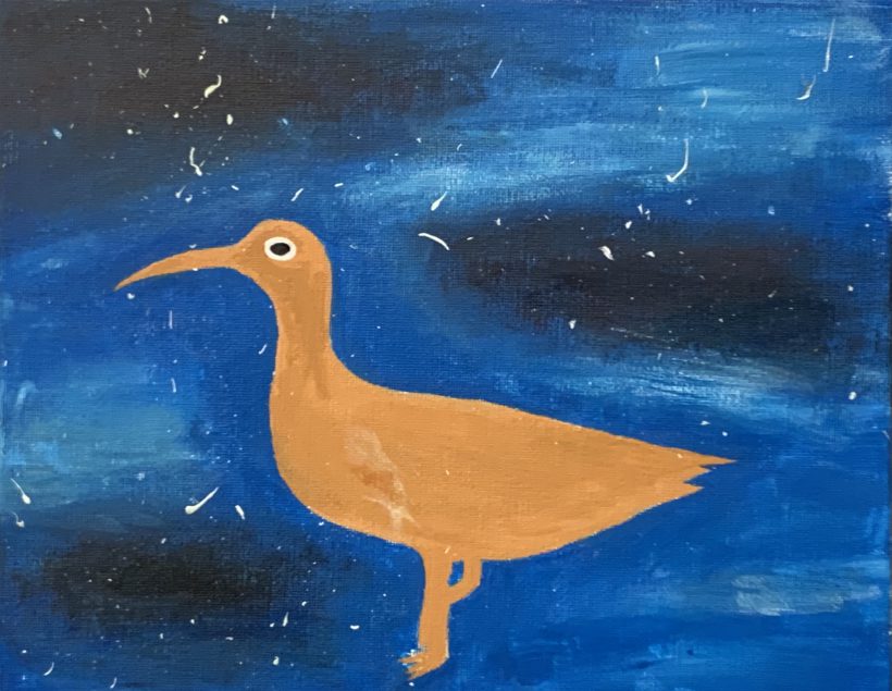 Eskimo Curlew in Space